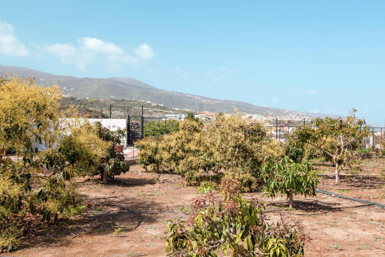 Casa Quemahierro 2 Villa Icod De Los Vinos Buitenkant foto